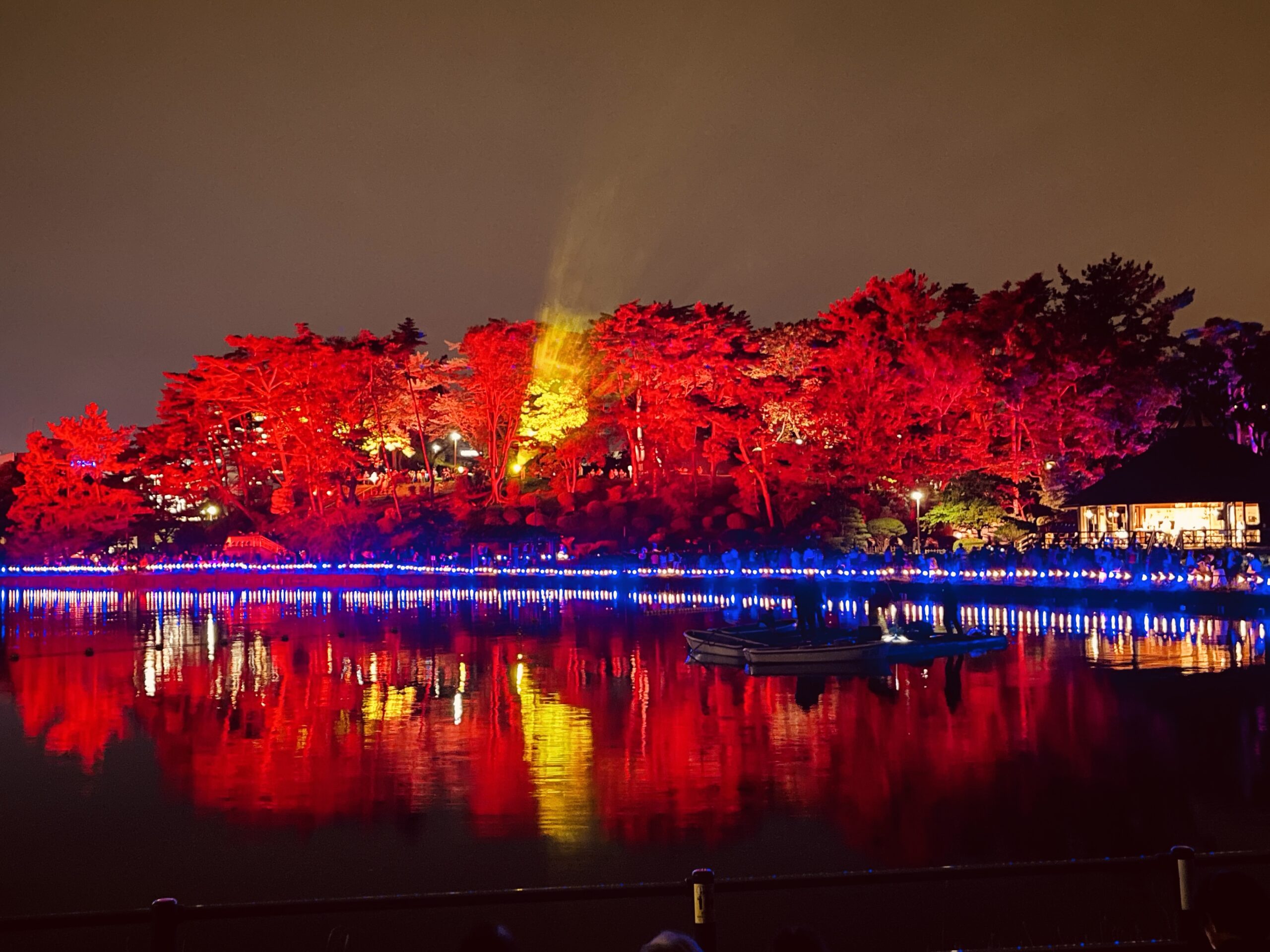 「YohaS-夜ハス-」が千葉公園で開催！オオガハスをテーマにしたアートフェス