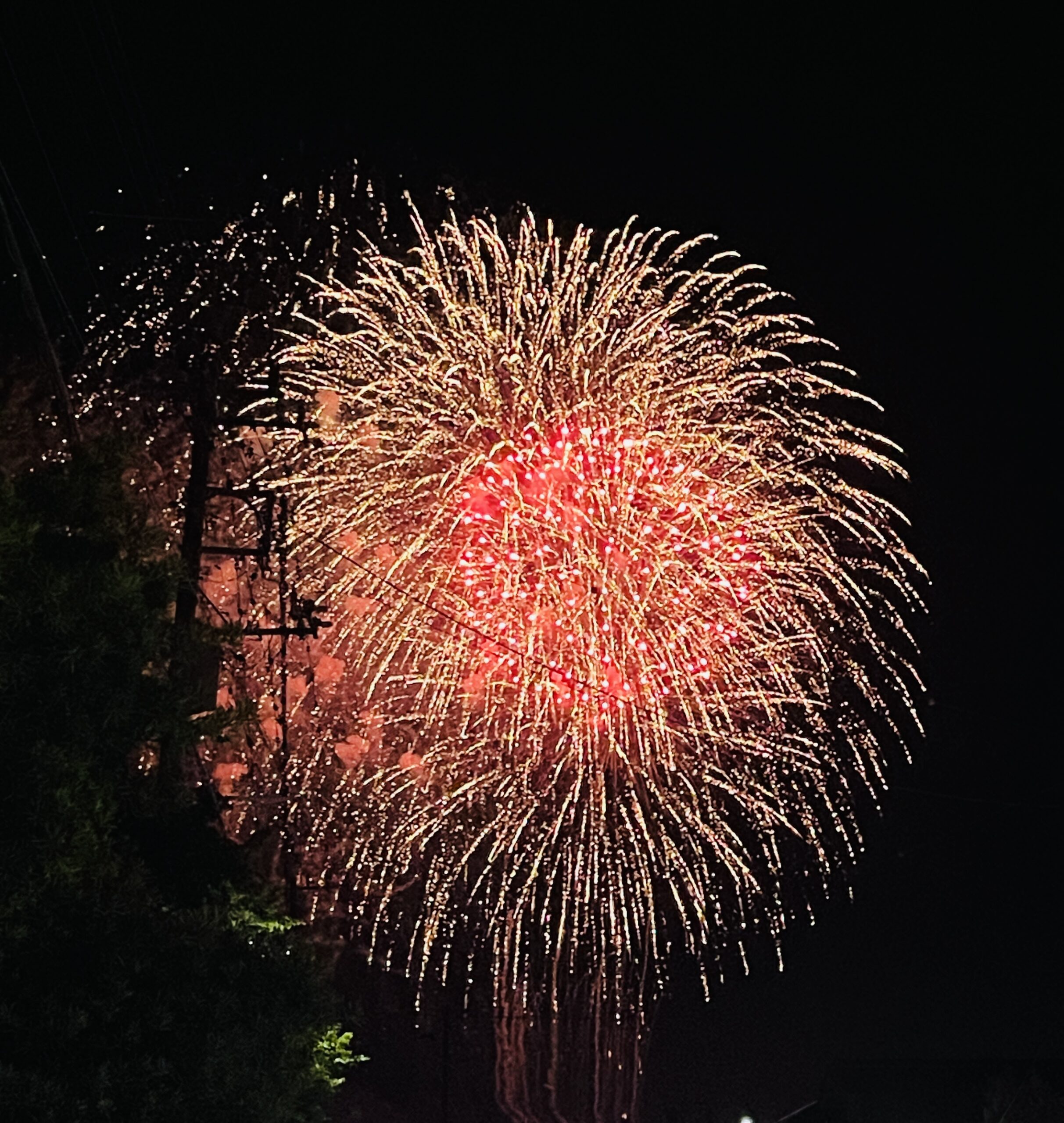 山武市サマーカーニバル2023：夏のふれあいと花火の輝き