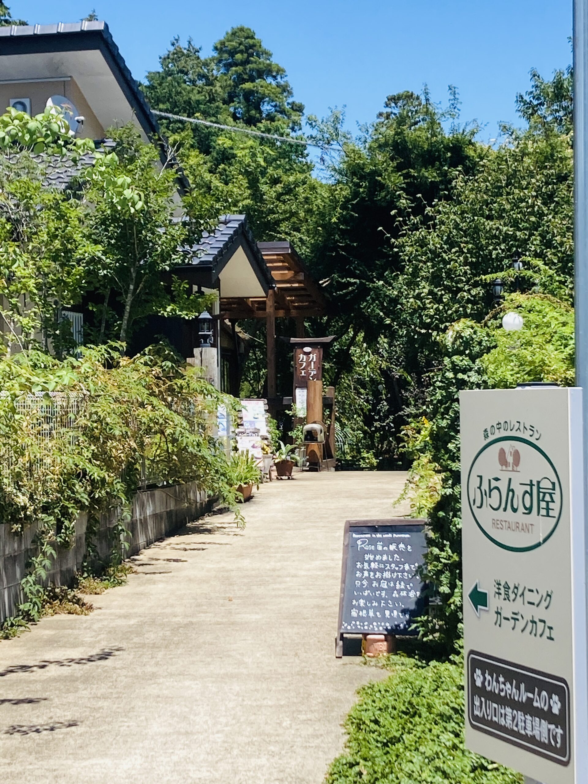 千葉・山武市にある老舗洋食レストラン「ふらんす屋」の魅力とは？